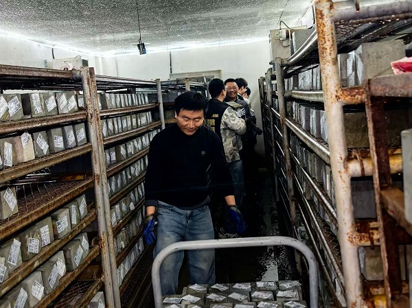 质检公司团结协作 - 副本.jpg